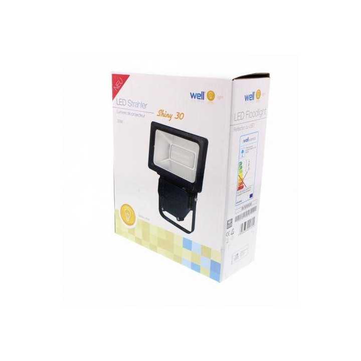 Proiector cu LED SMD 30W 1950lm IP44 4000K Well