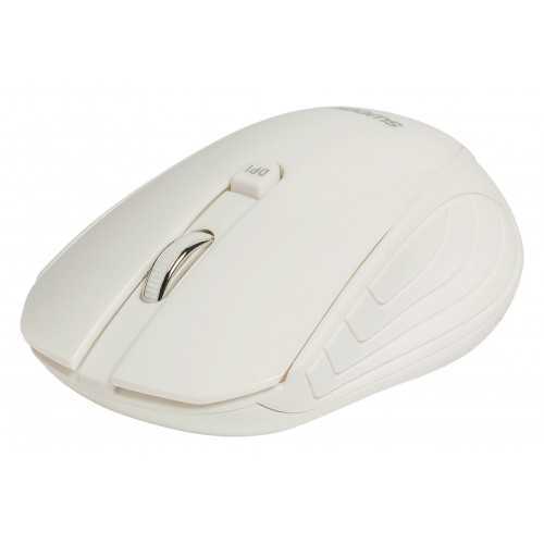 Mouse wireless Pisa Sweex