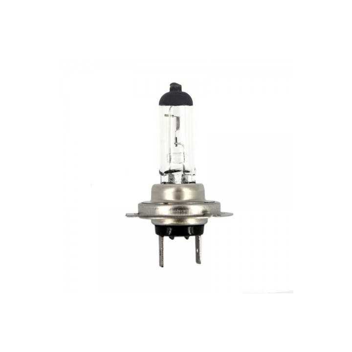 Bec halogen H7 55W +30% intensitate 12V Carguard