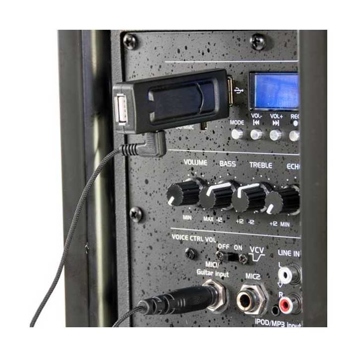 Microfon wireless cu modul USB Party Light & Sound