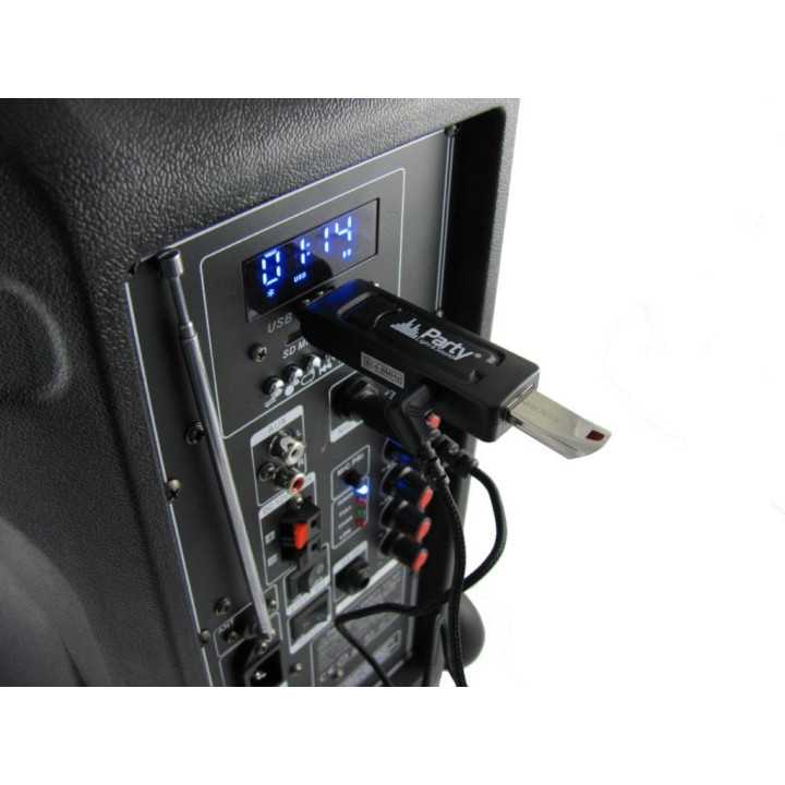 Microfon wireless cu modul USB Party Light & Sound