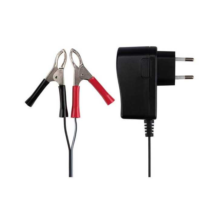 Incarcator pt Acumulatori plumb acid 6V/12V Velleman