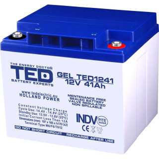 Acumulator 12V 41A GEL AGM VRLA 197x165x171mm M6 TED Battery ExpertHolland