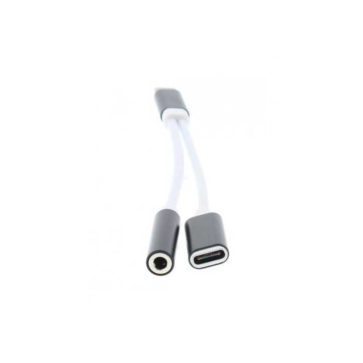 Adaptor USB Type C tata - jack 3.5 mm mama si USB Type C mama 13cm Well