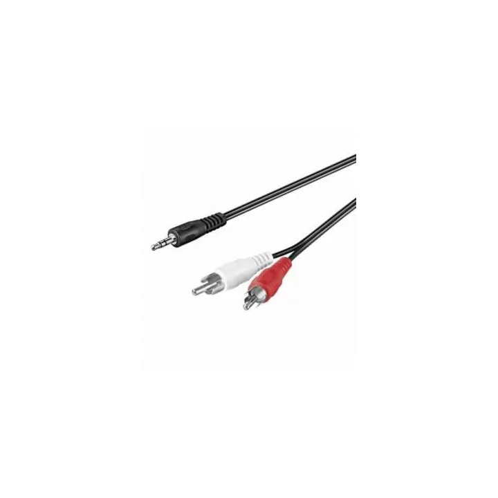 Cablu Jack 3.5 mm stereo la 2x RCA 3m Goobay