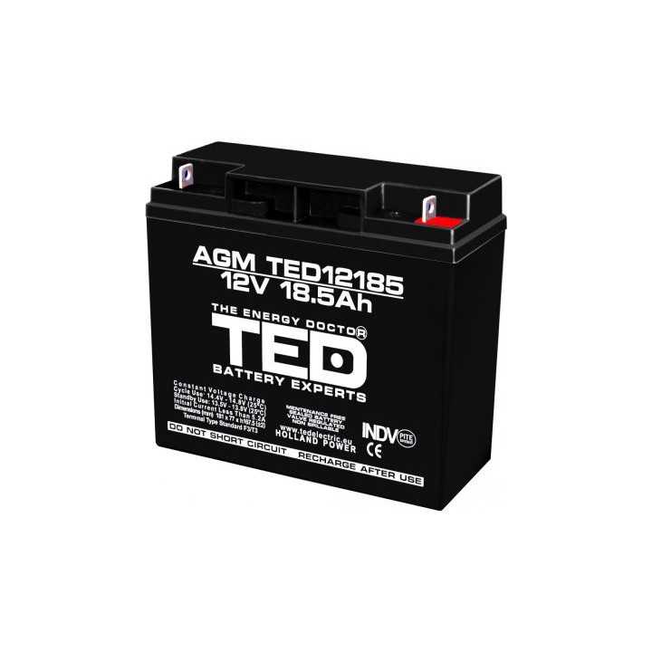 Acumulator TED 12V 18.5Ah AGM plumb acid terminal T3 181mm x 76mm x h167mm