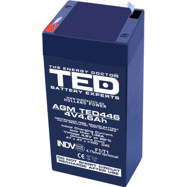 Acumulator 4V 4.6Ah AGM Battery TED446F1 TED002853