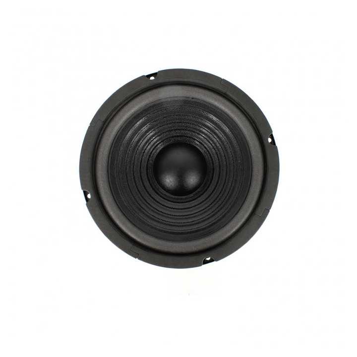 Difuzor HI-FI HOME 8" 203mm 100/200W 8 ohmi 37Hz-4.5kHz Carguard HSP003