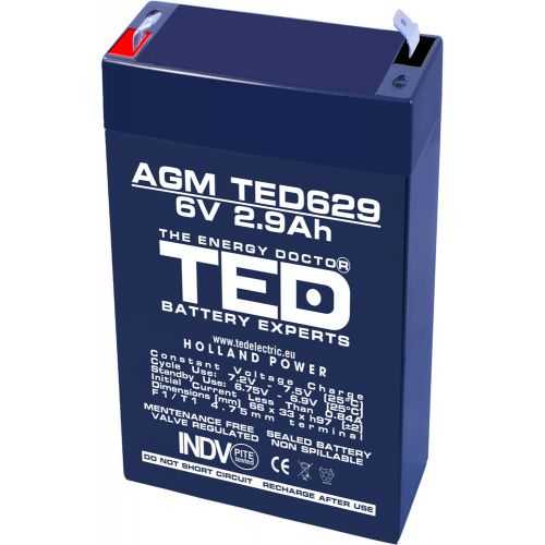 Acumulator AGM VRLA 6V 2.9Ah plumb acid 66x33x97 mm F1 terminal TED Battery Expert Holland