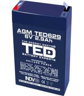Acumulator AGM VRLA 6V 2.9Ah plumb acid 66x33x97 mm F1 terminal TED Battery Expert Holland