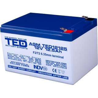 Acumulator AGM VRLA 12V 12.5Ah plumb acid 151x98x95 mm F2 terminal TED Battery Expert Holland