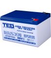 Acumulator AGM VRLA 12V 12.5Ah plumb acid 151x98x95 mm F2 terminal TED Battery Expert Holland TED002754