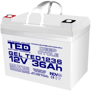 Acumulator AGM VRLA 12V 36Ah Plumb GEL Deep Cycle 195x128x155 mm M6 terminal TED Battery Expert Holland
