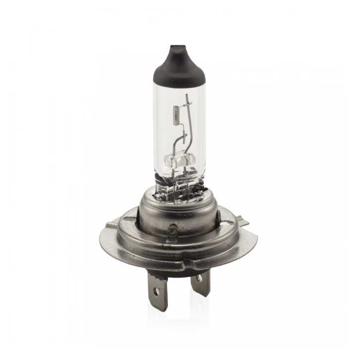 Bec halogen H7 12V 55W +30% intensitate CARGUARD BHA054
