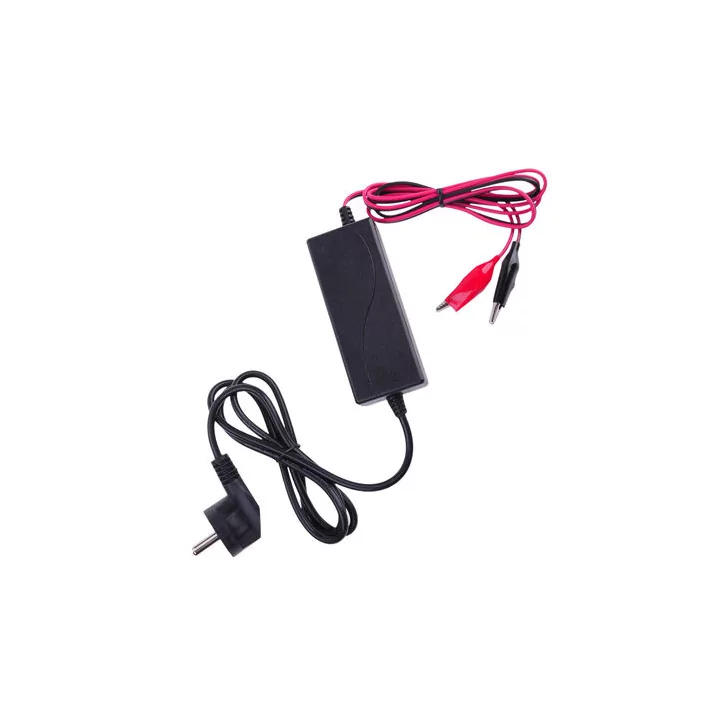 Incarcator acumulatori plumb 24V 0.8A pentru acumulator maxim 8Ah cu debransare Vipow