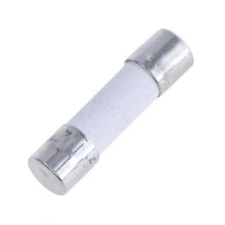 Siguranta ESKA F2A 250VAC ardere rapida 5x20mm 520.520