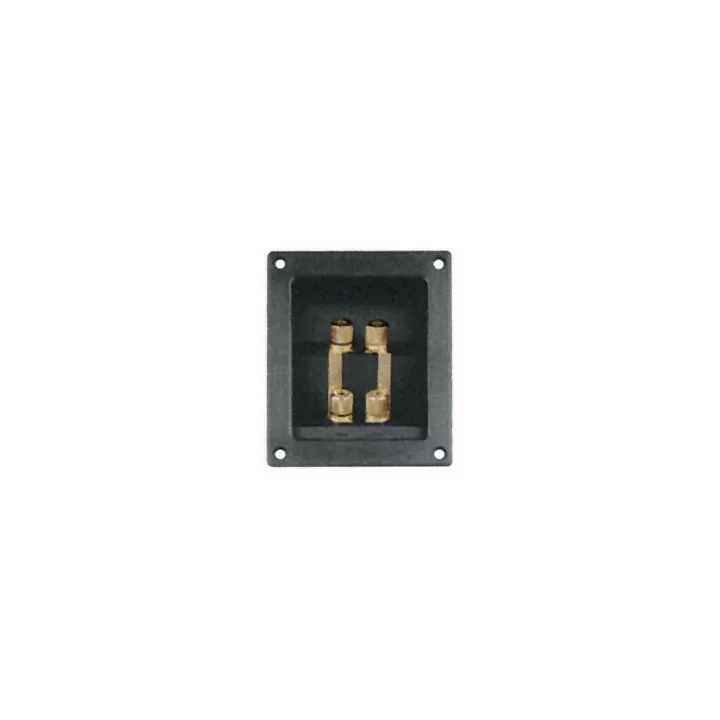 Conector boxa 4 terminale aurite