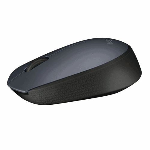 Mouse optic wireless M170